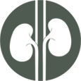 Kidney Icon